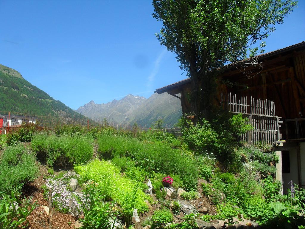 Almhof Daire Sölden Dış mekan fotoğraf
